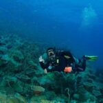 Koh Chang: 3-Day PADI Open Water Scuba Dive Course - An Overview of the Course Structure