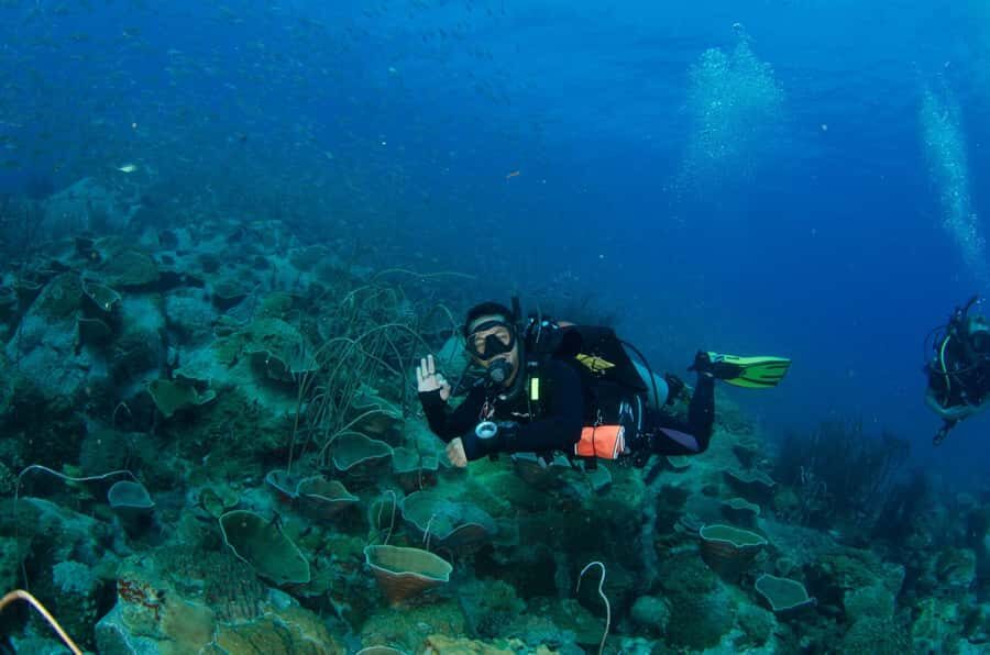 Koh Chang: 3-Day PADI Open Water Scuba Dive Course - An Overview of the Course Structure