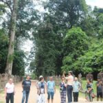 Koh Ker and Boeng Mealea Jungle Explorer - Authentic Insights from Reviewers