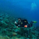 Koh Kood: 3-Day PADI Open Water SCUBA Diving Course - Why This Tour Stands Out
