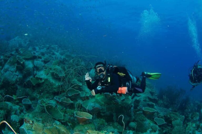 Koh Kood: 3-Day PADI Open Water SCUBA Diving Course - Why This Tour Stands Out
