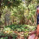 Koh Kood: Disc Golf Course Game Experience - The Practical Side: Logistics, Price, and What You Need to Know