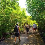 Koh Lanta Mangrove Adventure and Old Town Tour by Long Tail Boat - The Charm of Lanta Old Town