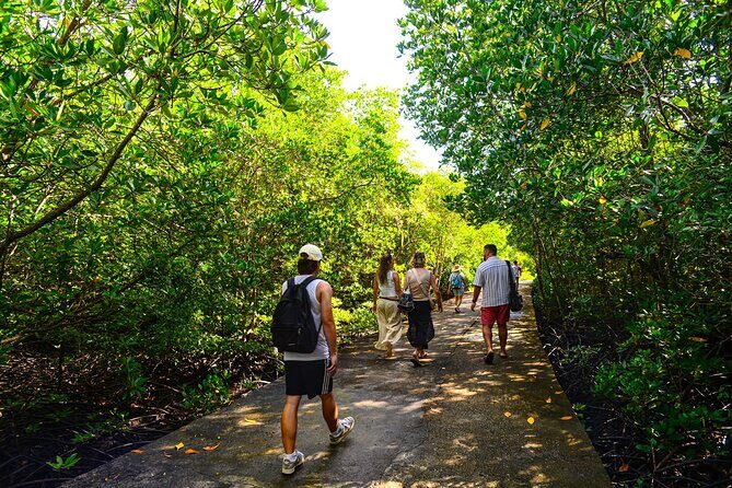 Koh Lanta Mangrove Adventure and Old Town Tour by Long Tail Boat - The Charm of Lanta Old Town