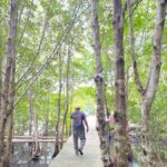 Koh Lanta: Mangrove and Lanta Noi Tour with Pickup - How the Tour Is Structured: The Practical Side
