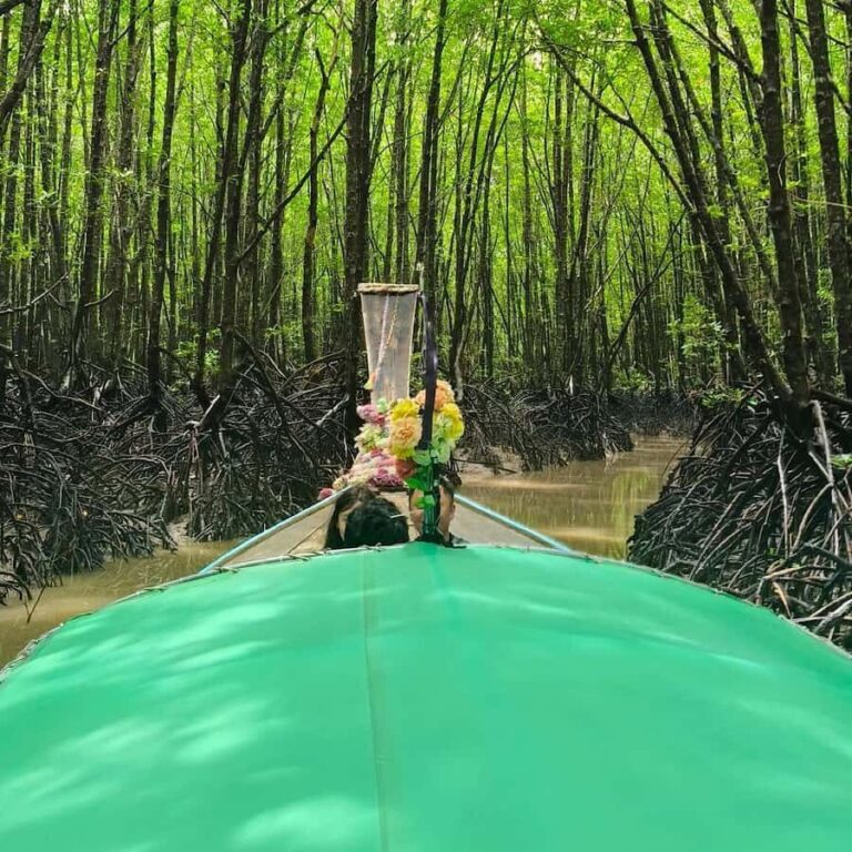 Koh Lanta: Mangrove Forest Tour with Boat Ride & Lunch - What to Expect from the Koh Lanta Mangrove Tour
