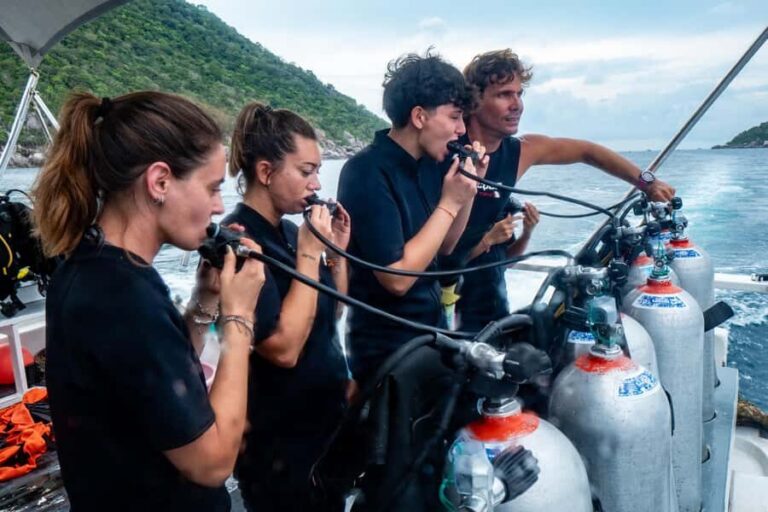 Koh Lipe: 3-Day Open Water Certification Course in Paradise - The Practical Aspects