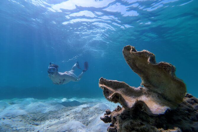 Koh Lipe Morning Snorkeling Trip 4 Islands, 5 Spots - Practical Details: What You Need to Know