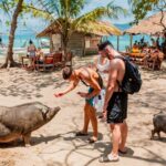 Koh Madsum and Koh Tan Snorkeling Trip By Speedboat From Koh Samui - What Makes This Tour Stand Out?