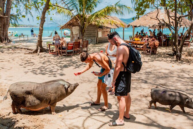 Koh Madsum and Koh Tan Snorkeling Trip By Speedboat From Koh Samui - What Makes This Tour Stand Out?