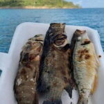 Koh Rong Fishing & Snorkeling tour (Private) - Practical Details That Matter