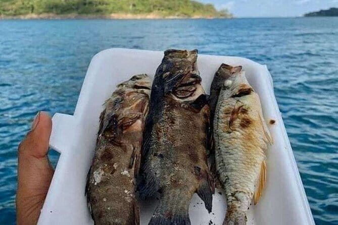 Koh Rong Fishing & Snorkeling tour (Private) - Practical Details That Matter