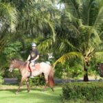 Koh Samui: 1-Hour Horseback Riding on Taling Ngams Shores - The Practicalities: What You Need to Know