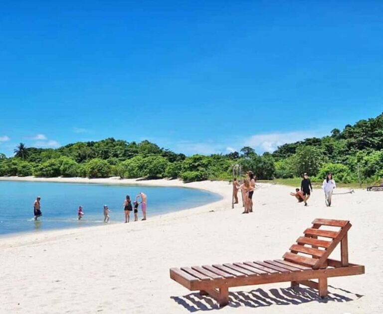 Koh Samui: Amazing Pig Island Tour - Cruise Ship Tours - The Booking and Practical Details