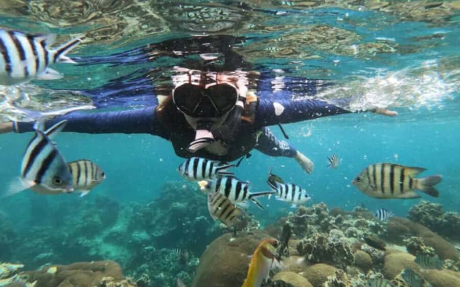 Koh Samui: Ang Thong Marine Park Day Tour by Speedboat - What Makes This Tour Stand Out