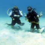 Koh Samui: Discover Scuba Diving - Learning the Basics: Skills and Safety
