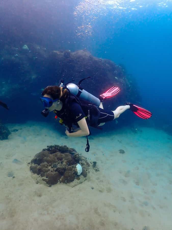 Koh Samui: Dive Tour to Koh Tao - Why Consider This Tour?