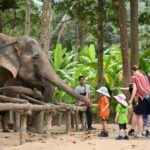 Koh Samui: Elephant Sanctuary Entry and Feeding Experience - Authentic Experiences That Set It Apart