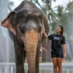 Koh Samui: Elephant Sanctuary Tour - Feed & Shower Elephants - An Honest Look at the Koh Samui Elephant Sanctuary Tour