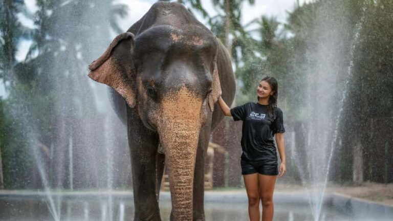 Koh Samui: Elephant Sanctuary Tour - Feed & Shower Elephants - An Honest Look at the Koh Samui Elephant Sanctuary Tour
