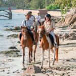 Koh Samui Horse Riding & Beach Trails - Who Will Love This Tour?
