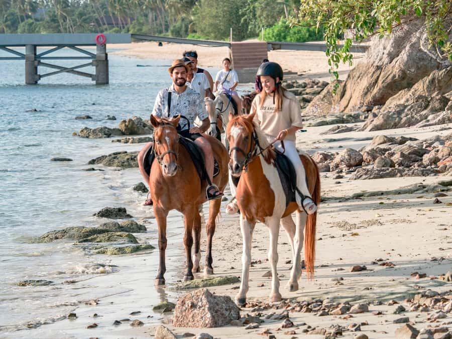 Koh Samui Horse Riding & Beach Trails - Who Will Love This Tour?
