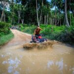 Koh Samui Island ATV Quad Bike Adventure - The Itinerary: What to Expect