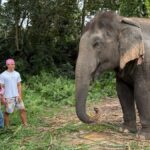 Koh Samui: Jungle Safari Jeep Tour with Elephants Sanctuary - Transportation & Practical Details