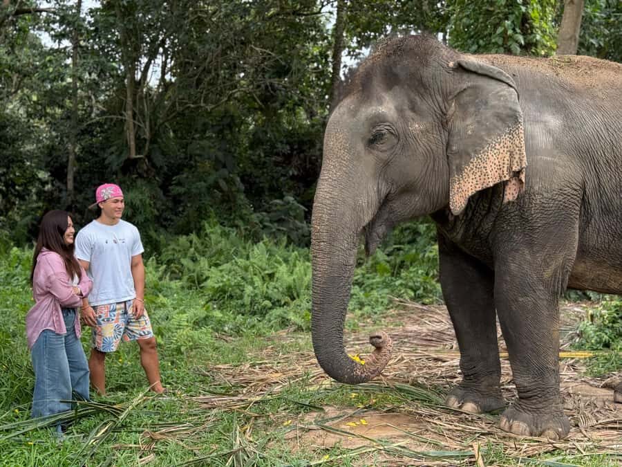 Koh Samui: Jungle Safari Jeep Tour with Elephants Sanctuary - Transportation & Practical Details