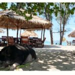 Koh Samui: Koh Madsum and Koh Tan Long Tail Boat Trip - An Overview of the Experience