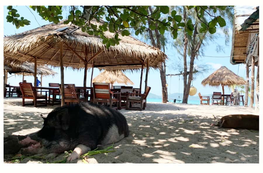 Koh Samui: Koh Madsum and Koh Tan Long Tail Boat Trip - An Overview of the Experience