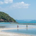 Koh Samui: Koh Tan & Pig Island Trip with Sunset Cruise - In-Depth Look at the Itinerary