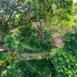 Koh Samui: Option ATV or Zipline or Combo Adventure+Transfer - Who Will Love This Tour?