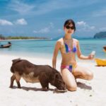 Koh Samui: Pig Island Private Longtail Boat Tour - The Real Value of This Tour