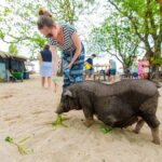 Koh Samui Pig Island Snorkeling by Private Longtail Boat - What’s Included and What Costs Extra