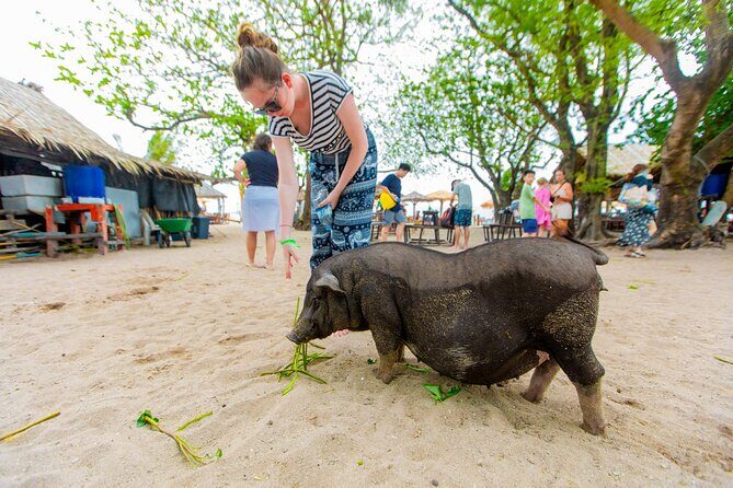 Koh Samui Pig Island Snorkeling by Private Longtail Boat - What’s Included and What Costs Extra
