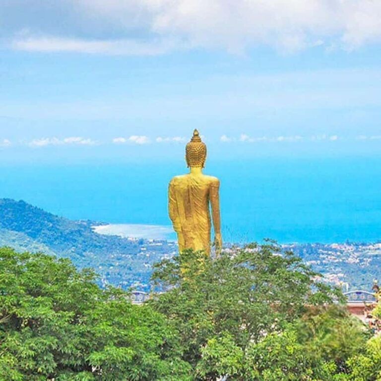 Koh Samui: Private Jungle Safari Tour with Lunch - The Value and Practicality of this Tour