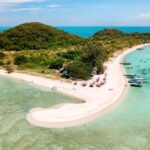 Koh Samui: Private Pig Island & Snorkeling Trip by Speedboat - Who Is This Tour Best For?
