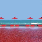 Koh Samui: The Page Afternoon Tea at The Library - How It Compares to Other Experiences