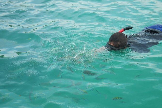 Koh Tan and Koh Madsum Snorkeling Trip By Speedboat From Koh Samui - Group Size and Tour Dynamics