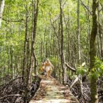 Koh Tan and Pig Island Tour with Sunset Cruise - FAQs