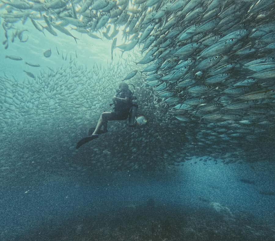 Koh Tao: Advance Open Water Diver 2 Days Course - Location and Meeting Point