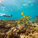 Koh Tao: Full-Day Snorkeling Tour with Lunch & Hotel Pick-up - Why This Tour Offers Great Value