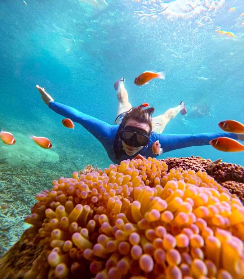 Koh Tao: Half-Day Sunset Snorkeling Tour with Lunch & Pickup - The Realities: What to Expect