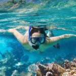 Koh Tao & Koh Nangyuan Snorkeling Tour by Speedboat from Ko Samui - Is This Tour Worth It?