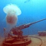 Koh Tao: SCUBA Open water certification - The Experience Provider and Group Dynamics