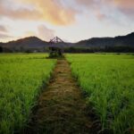 Koh Yao Noi: The Local Way of Life Eco Half-Day Tour - Detailed Breakdown of the Itinerary