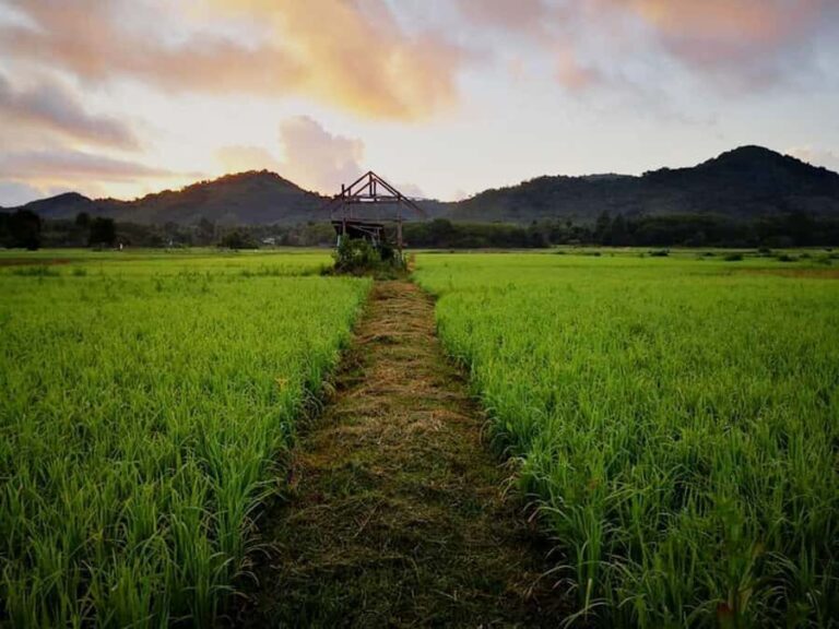 Koh Yao Noi: The Local Way of Life Eco Half-Day Tour - Detailed Breakdown of the Itinerary