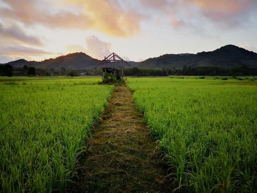 Koh Yao Noi: The Local Way of Life Eco Half-Day Tour - Detailed Breakdown of the Itinerary