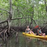 Koh Yao Yai Mangrove Forest Kayak with Local Life Discovery Tour - What Reviewers Have Said